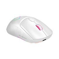 MOUSE GAMER BALAM RUSH SPEEDER MATCH MG959 / ALAMBRICO USB / 7 BOTONES SCROLL / OPTICO / 12800 DPI AJUSTABLES / RGB / CARATULAS INTERCAMBIABLE / EXTENSION DE CUBIERTAS / BLANCO / BR-936835